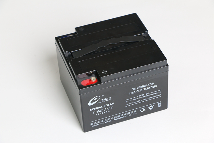 6-CNFJ-24